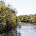 BWA NW OkavangoDelta 2016DEC02 Nguma 014 : 2016, 2016 - African Adventures, Africa, Botswana, Date, December, Month, Ngamiland, Nguma, Northwest, Okavango Delta, Places, Southern, Trips, Year